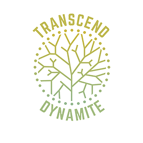 TRANSCEND DYNAMITE logo