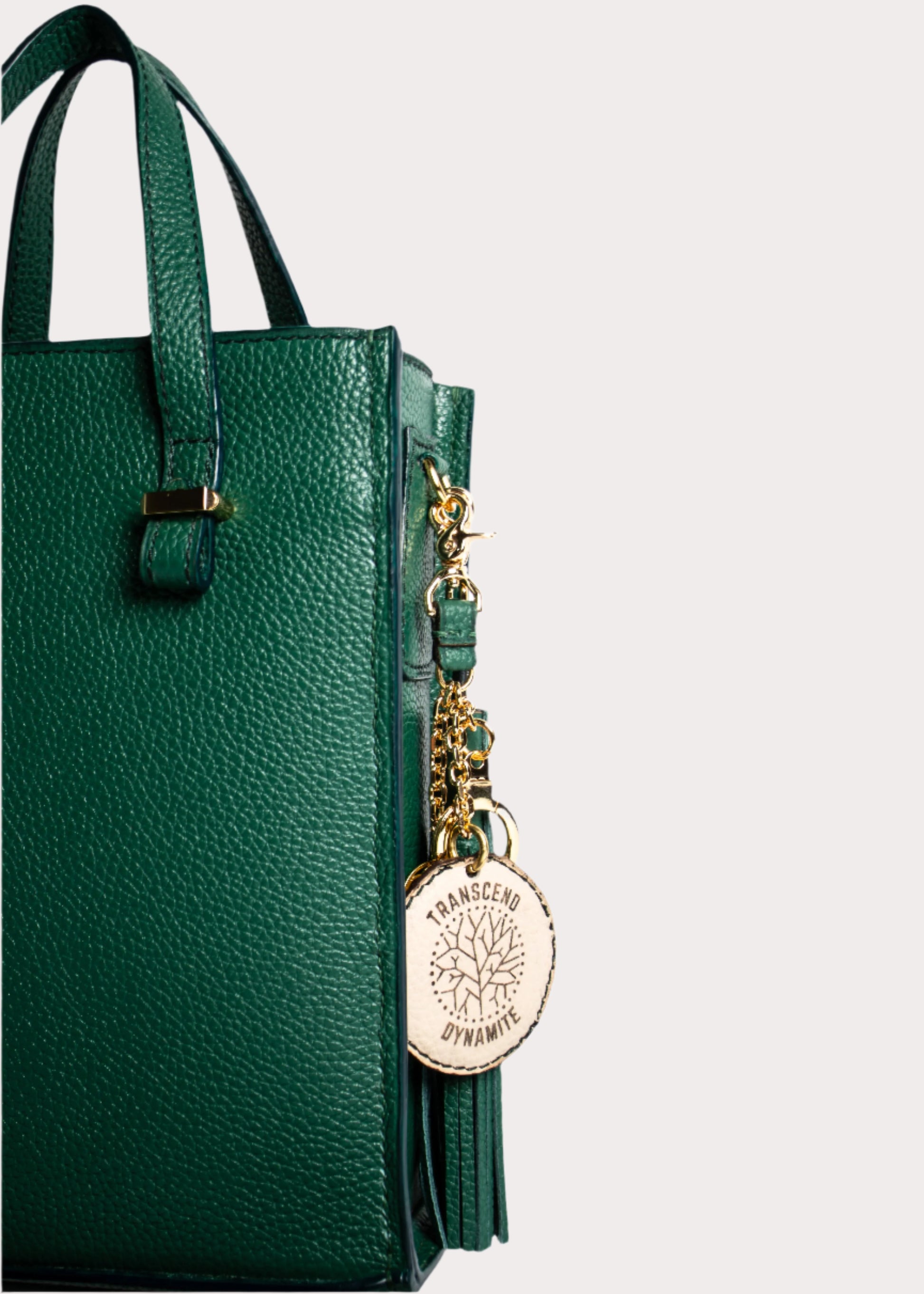 #TogoLeatherHandbagWithRiriZipper
