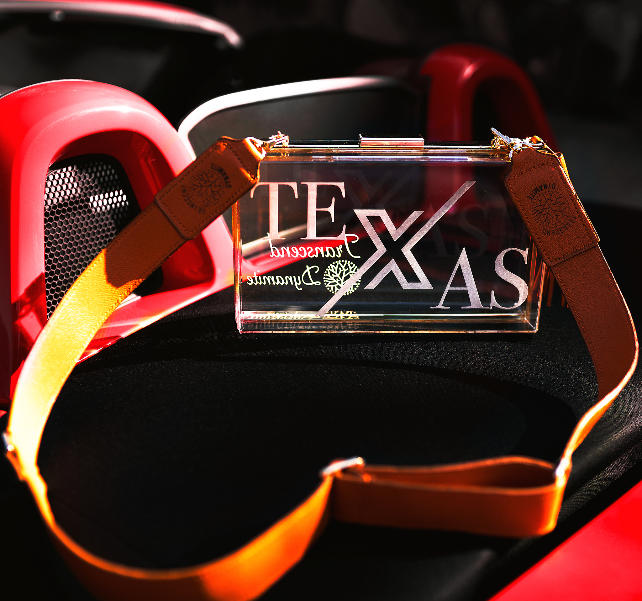 Texas Clear Bag